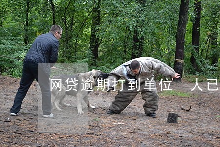 网贷逾期打到单位 人已辞职 网贷逾期打到单位 人已辞职